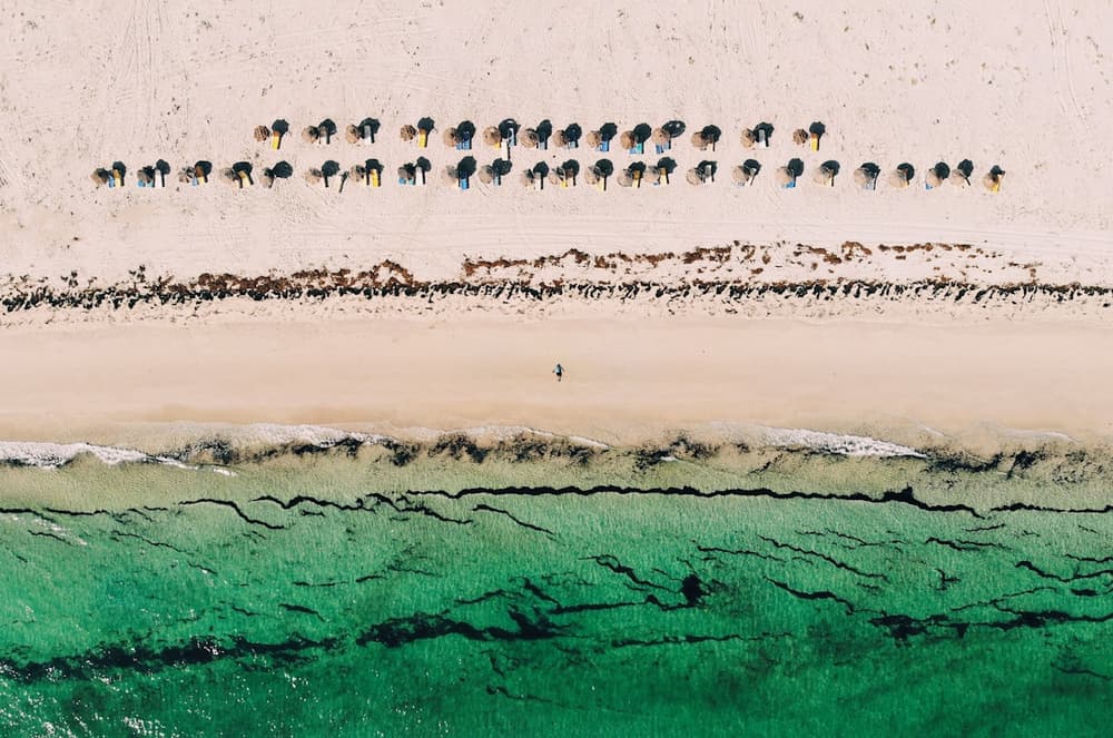 Djerba en photos - vue 1