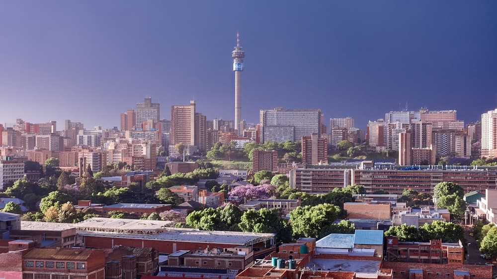 Johannesburg en photos - vue 2