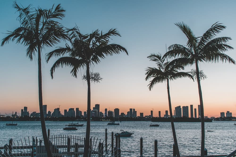 Miami en photos - vue 3