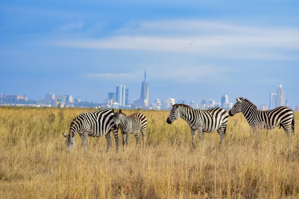 Nairobi en photos - vue 2