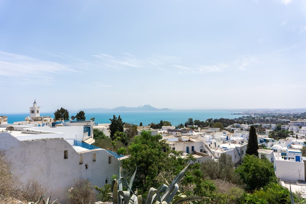 Tunis en photos - vue 4
